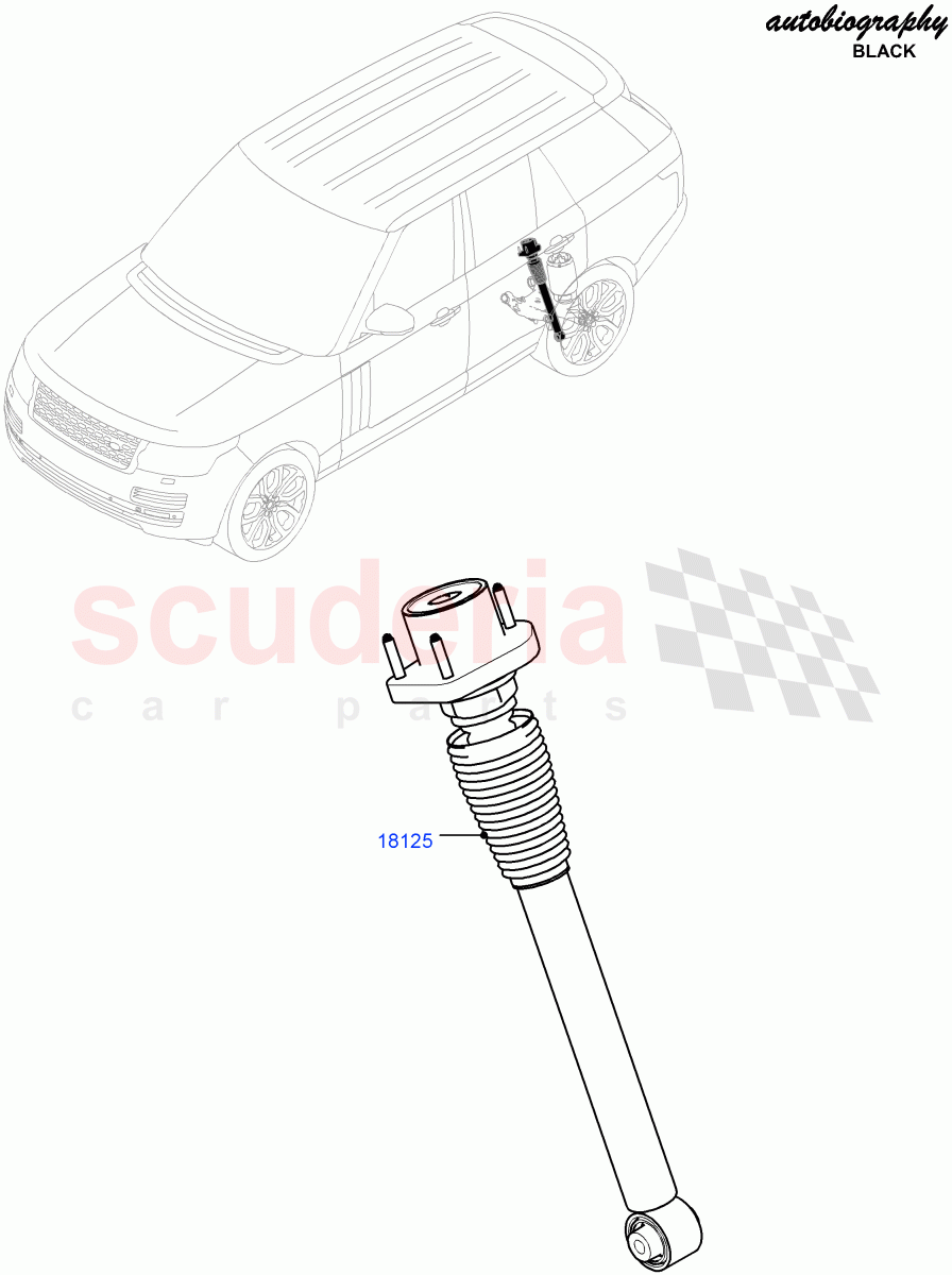 Rear Springs And Shock Absorbers(5.0L P AJ133 DOHC CDA S/C Enhanced,Standard Wheelbase,Brake Calipers - Black,Brake Calipers - Red,5.0L OHC SGDI SC V8 Petrol - AJ133)((V)FROMGA000001) of Land Rover Land Rover Range Rover (2012-2021) [2.0 Turbo Petrol AJ200P]