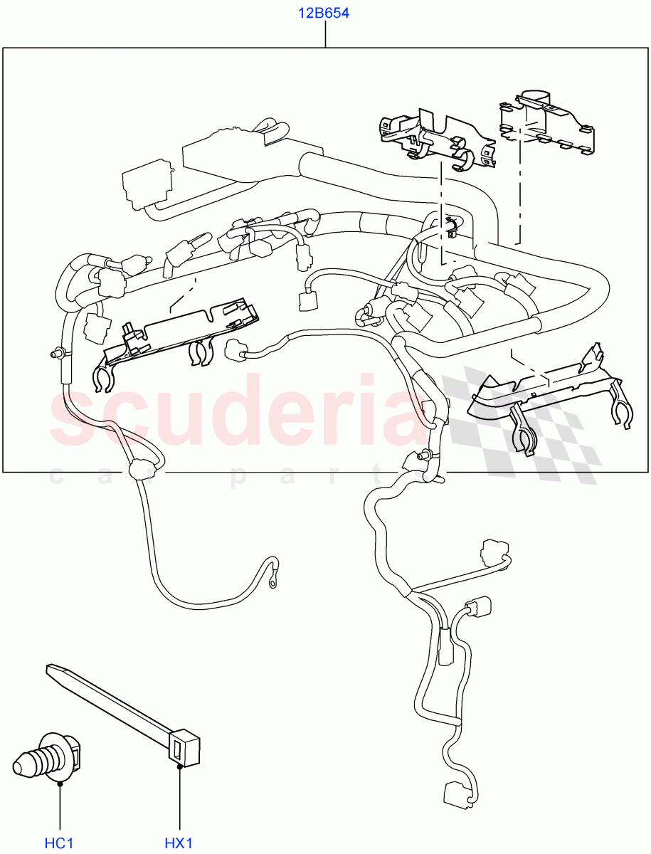 Wiring Clamps(Lion Diesel 2.7 V6 (140KW))((V)TO9A999999) of Land Rover Land Rover Range Rover Sport (2005-2009) [4.2 Petrol V8 Supercharged]