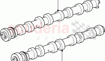 Camshaft(3.6L V8 32V DOHC EFi Diesel Lion)((V)FROM7A000001, (V)TO9A999999)