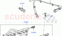 Fuel Injectors And Pipes(AJ Petrol 4.4 V8 EFI (220KW))