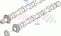 Camshaft(2.2L CR DI 16V Diesel, 2.2L DOHC EFI TC DW12)