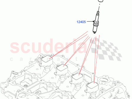 Photo of BOUGIE D TOILAGE…