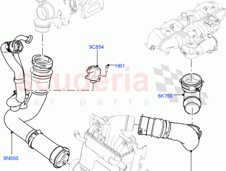Photo of TUBE SORTIE…