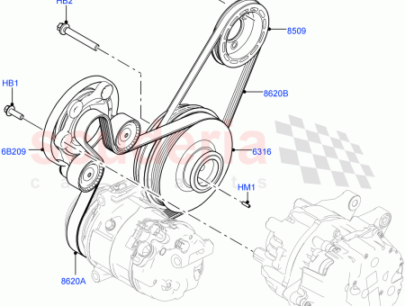 Photo of POULIE VILEBREQUIN…
