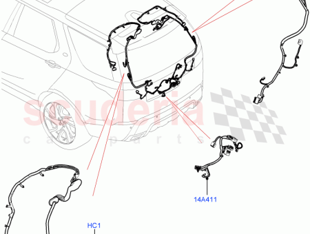 Photo of C BLAGE HAYON…