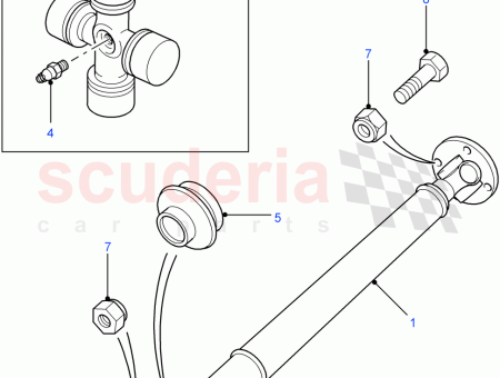 Photo of ARBRE ENTRA NEMENT…