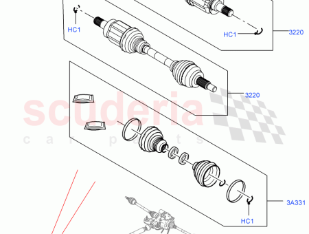 Photo of ARBRE ENTRA NEMENT…