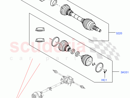 Photo of ARBRE ENTRA NEMENT…