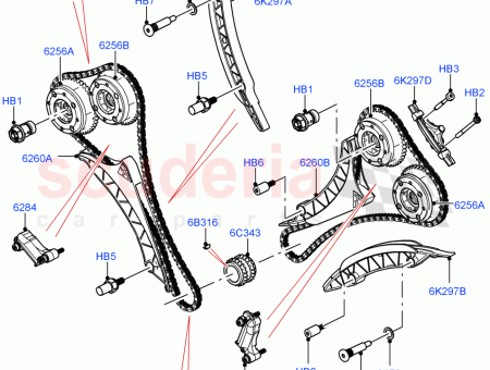 Photo of PIGNON ARBRE CAMES…