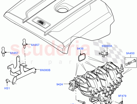 Photo of SUPPORT SUPPORT…