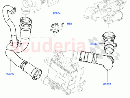 Photo of TUBE SORTIE…