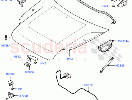 Photo of NUT FLANGED…