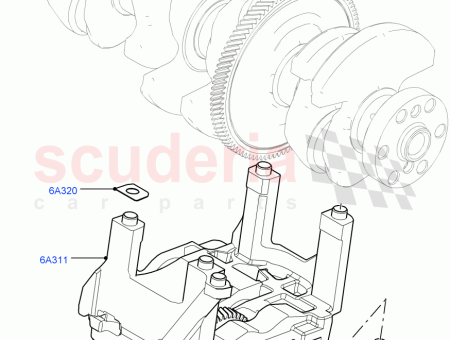 Photo of CALE ARBRE D QUILIBRAGE…