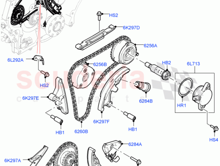 Photo of PIGNON ARBRE CAMES…