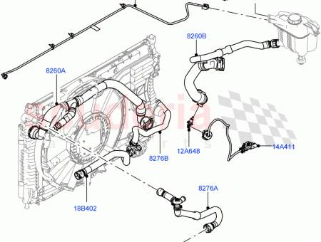 Photo of HOSE RADIATOR…