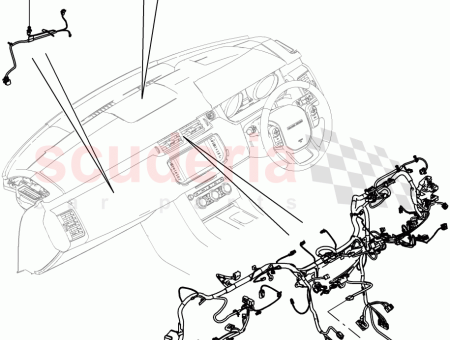 Photo of C BLAGE FACIA…