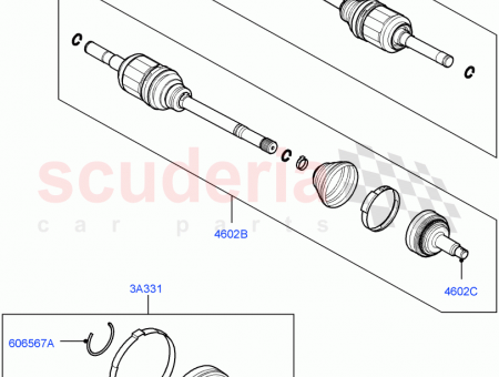 Photo of JOINT CV…