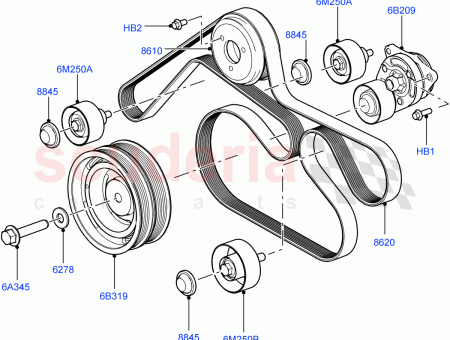 Photo of COURROIE…