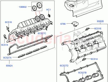 Photo of HOUSSE ARBRE CAMES…