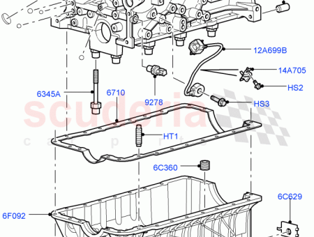 Photo of CHEVALIER…