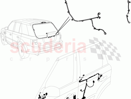 Photo of FIL SAUTEUR…